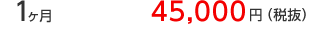 1ヶ月契約（期間価格）24,300円（税抜）