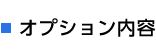 オプション内容