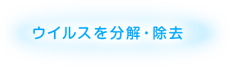 ウイルスを分解・除去