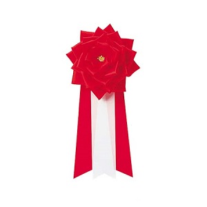 509000100032記章リボン